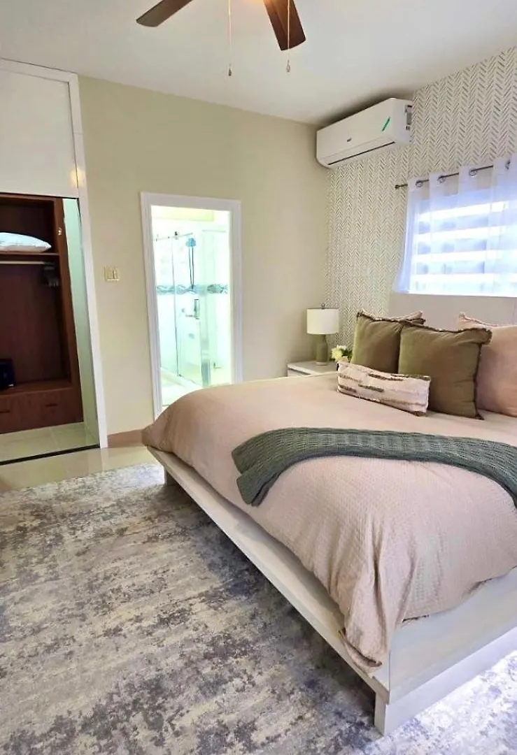 Island Vybz Villa Lancewood Meadows Ocho Rios Jamaica