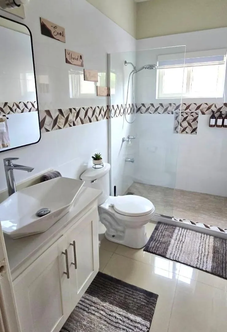 Island Vybz Villa Lancewood Meadows Ocho Rios Jamaica